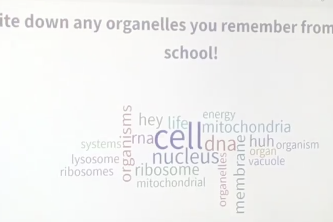 Screen Shot 2020-09-02 at 11.14.17 AM